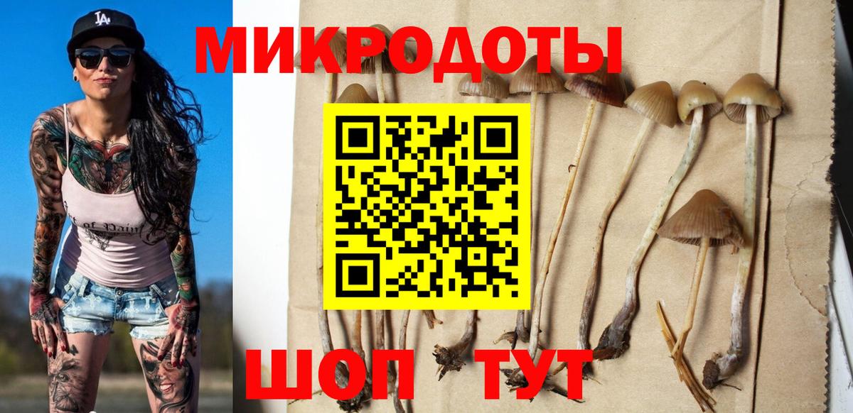 Псилоцибиновые грибы MAGIC MUSHROOMS  Вход с VPN  Верхняя Салда 